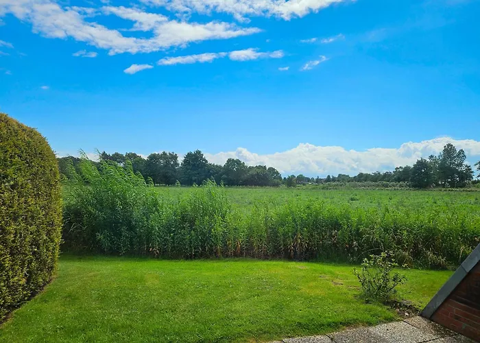 Deichblick - In 5 Min Am